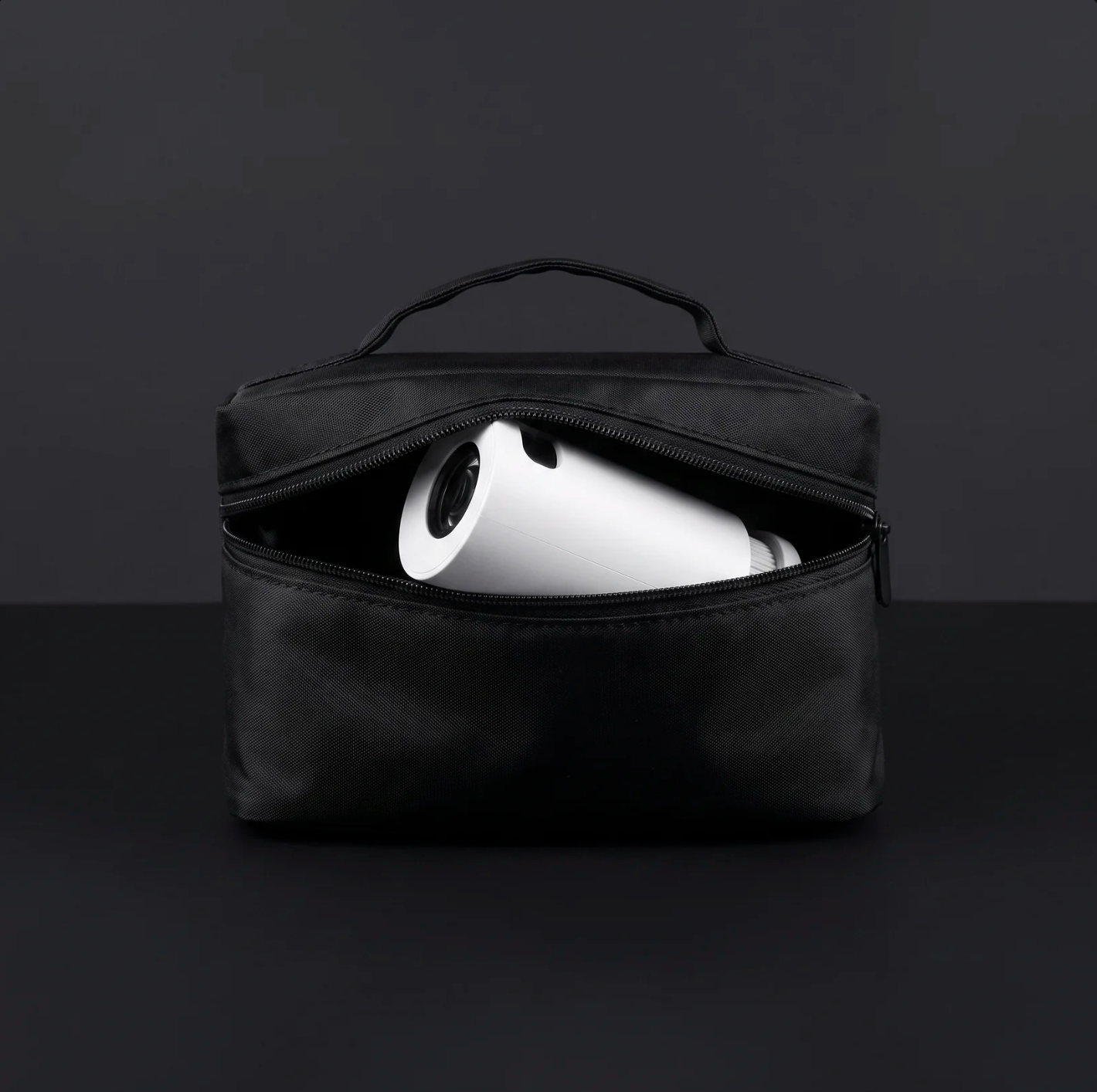 Projector case